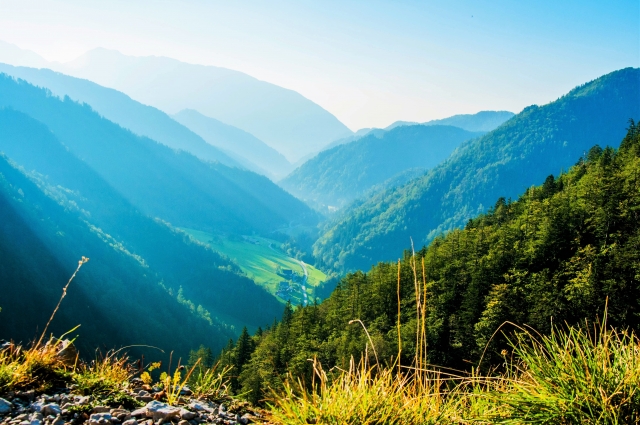 【室数限定　ウィークデープラン】特別価格で販売しております。