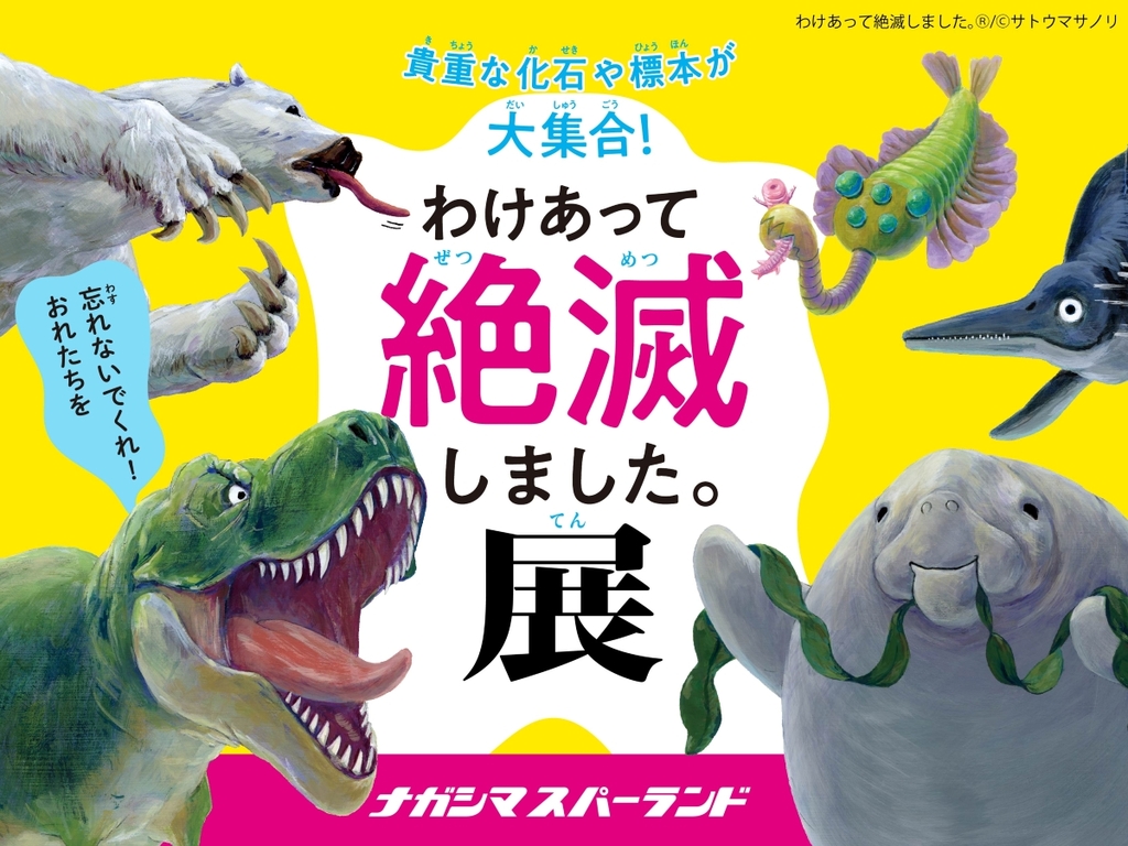 �u�킯�����Đ�ł��܂����B�W in �i�K�V�}�X�p�[�����h�v<BR>����1�񌔂������v�����ł�