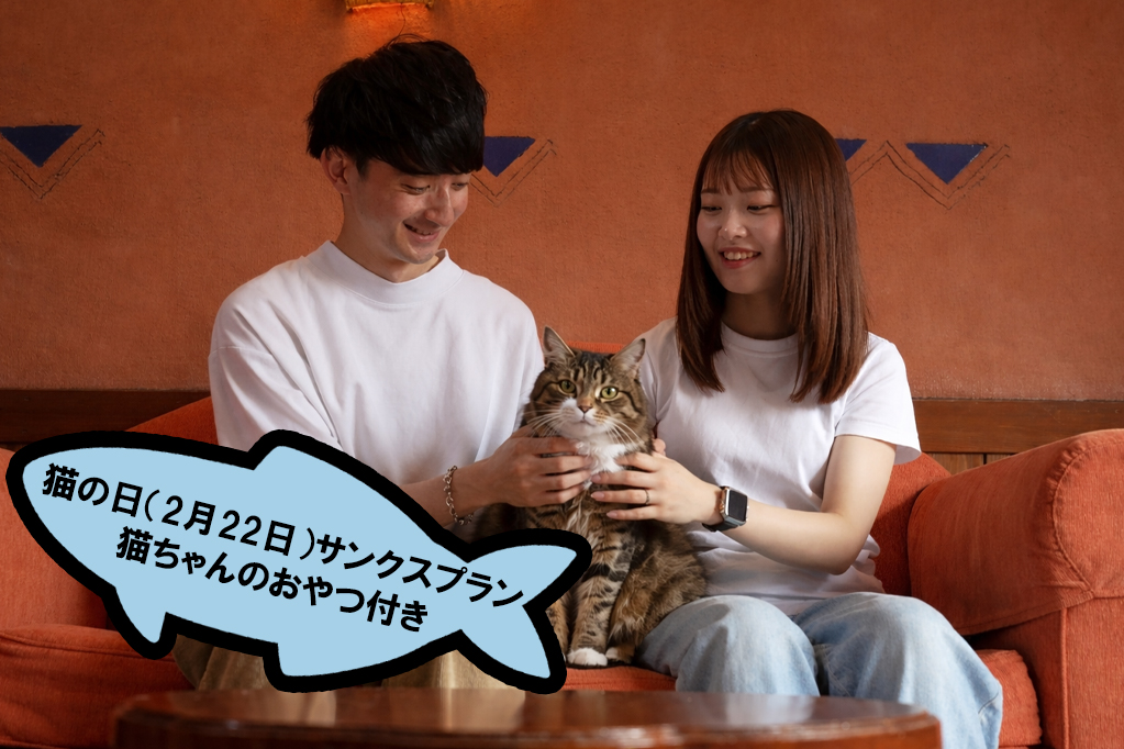 2(�j���[)��2(�j���[)2(�j���[)���T���N�X�v����