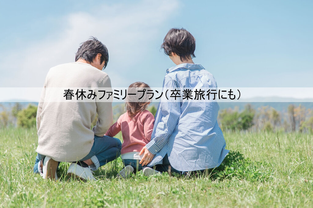 �t�x�݃v�����i�C���[�W�j