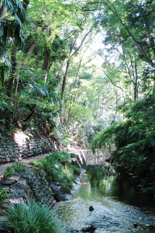 valley1
