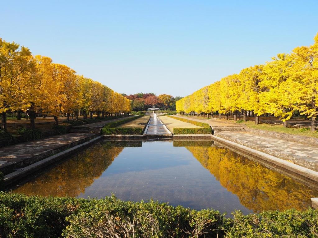 showakinennpark