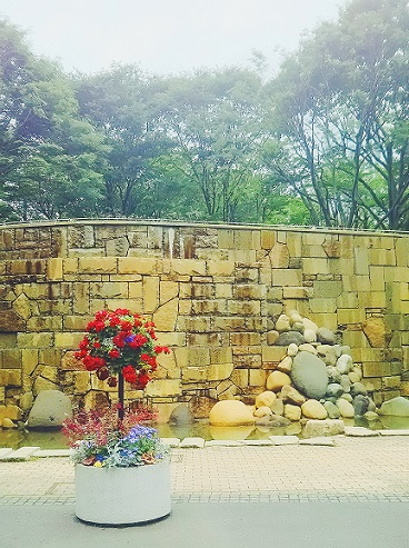 shinjukupark