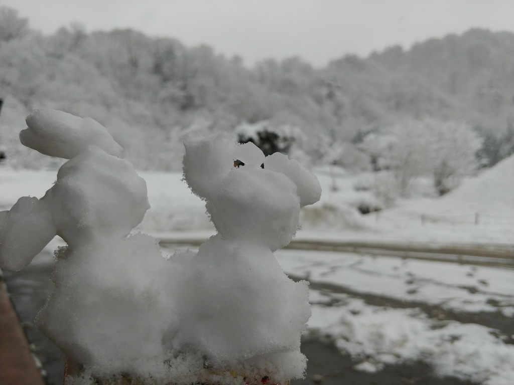 shirakawago2