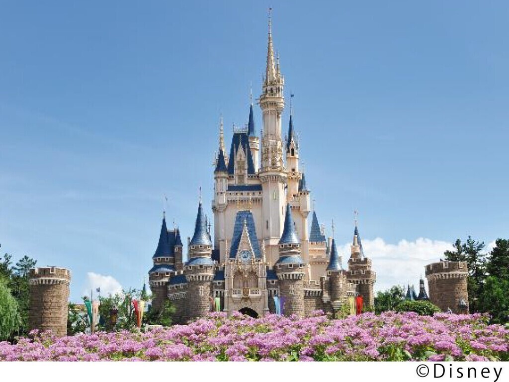 �����f�B�Y�j�[�����h(R)