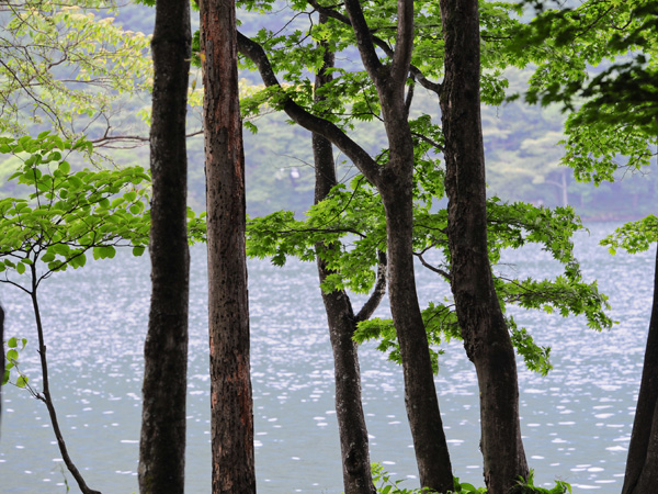 １泊『朝食付』プラン