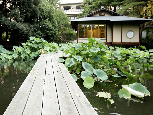 【日本庭園】松泉湖の桟橋と茶室「無量庵」