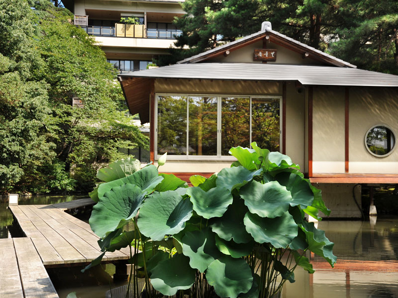 夏の松泉湖は綺麗な睡蓮や蓮が広がり、爽やかな景色を楽しめます。