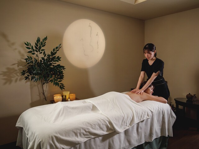 �X�p�g���[�g�����g