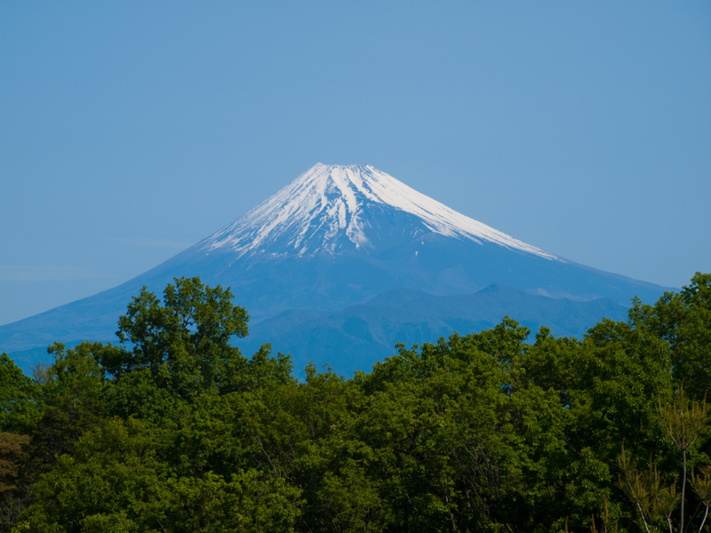 ホテル棟からの富士山