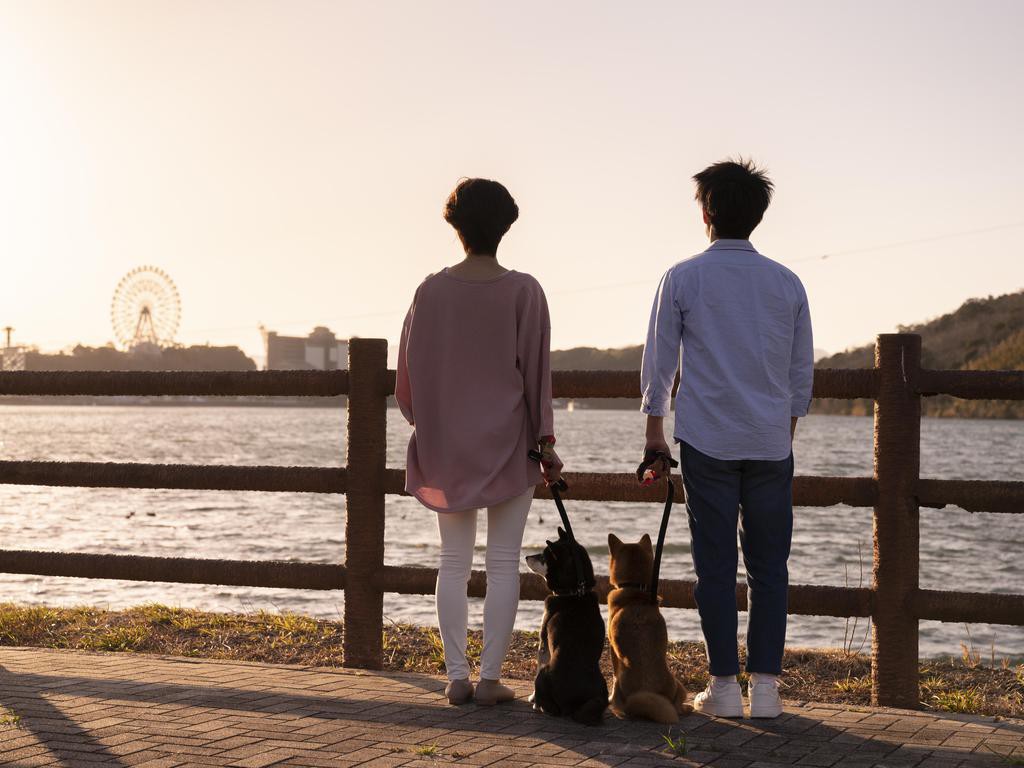 滞在イメージ：浜名湖を愛犬とお散歩