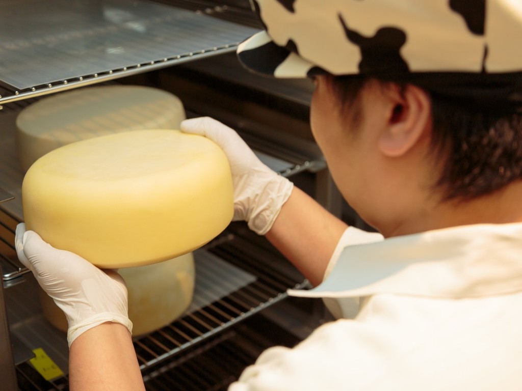 レストラン内のチーズ工房では自家製チーズを作っています♪