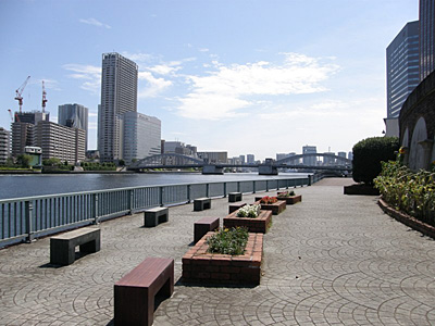 隅田川遊歩道　天気が良い日は隅田川沿いをゆったり散歩などいかがでしょうか♪