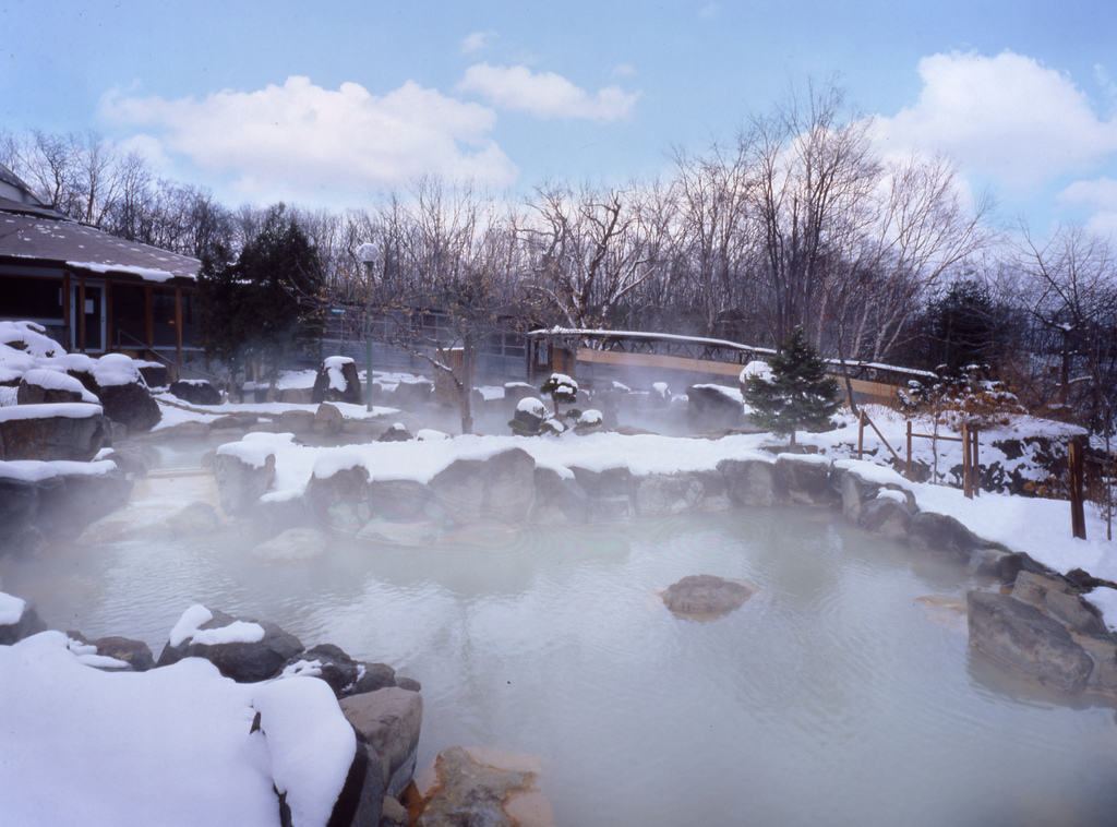 Open-air mixed bathing garden bath (Winter) 