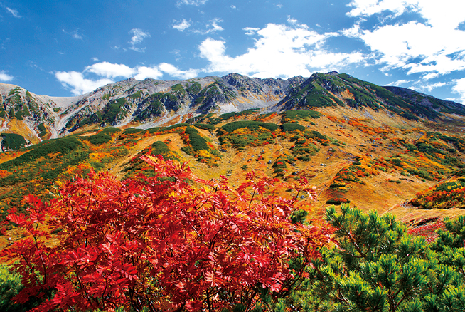 秋山とのコントラストが美しい立山の紅葉（イメージ）