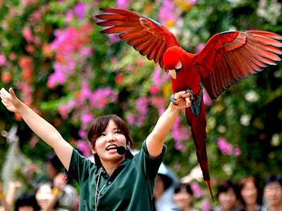 神戸どうぶつ王国はどうぶつたちの憩いの広場。雀などの野鳥も…
