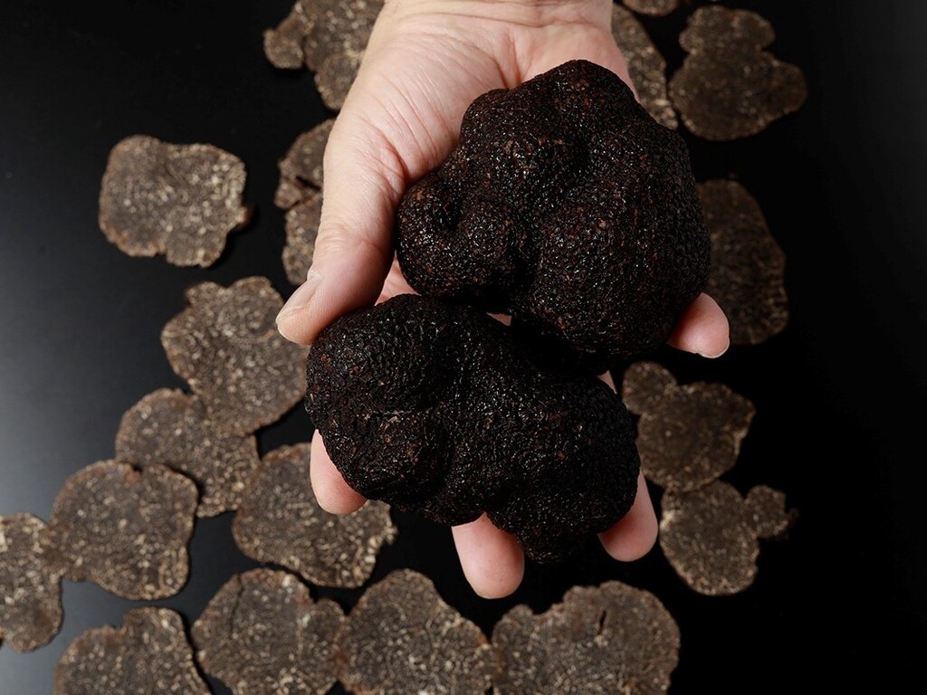 �y2�H�t��/Exception�z�f�B�i�[���j���[�i�C���[�W�j�j