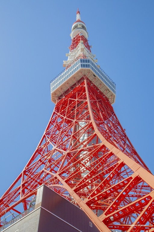 東京タワー外観(日中)