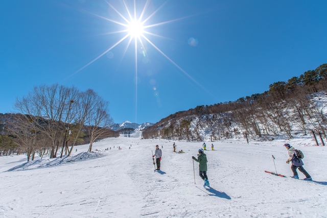  ���֒�G���A�̃X�L�[��ő����ɐ�V�т����y���݂�������