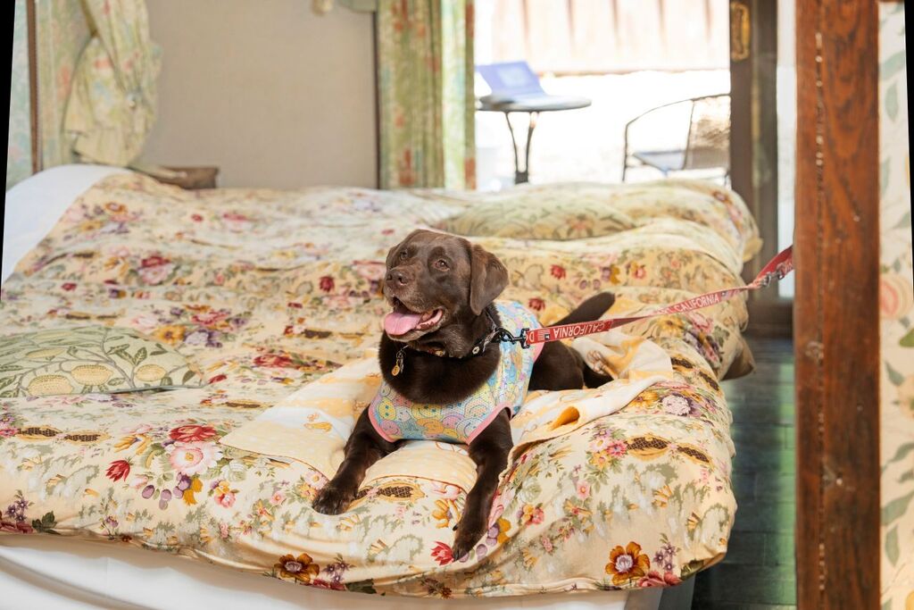 �}�b�g�̏�ł��낮�����R