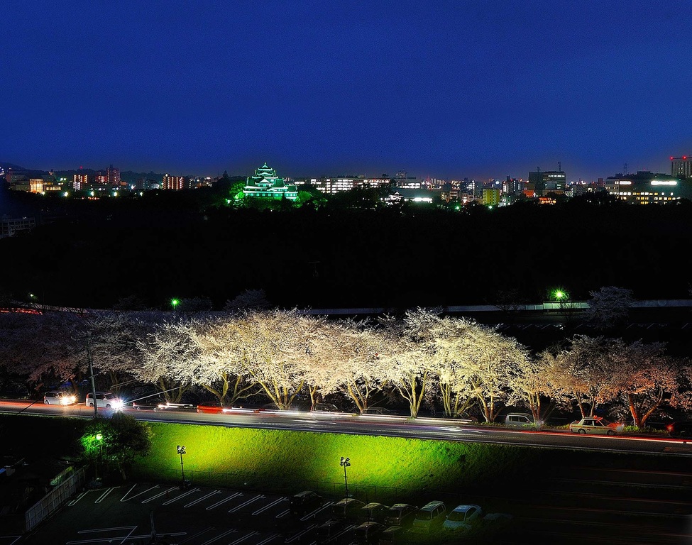 桜並木とライトアップされた岡山城