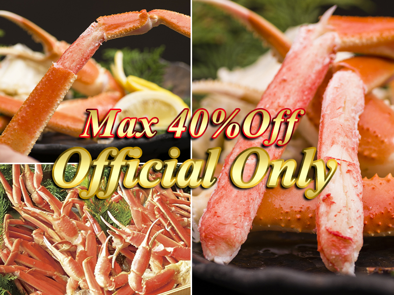 �g���M�b�V���̏㎿�Ȗ{���킢�I�H�ו���t���́A����HP�̖{�v�������x�X�g���[�g�I�I 