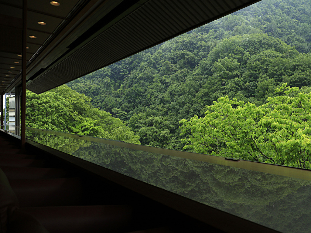 【展望ラウンジ】新緑から深緑へ&#8212;。窓が開閉できるので、自然や渓谷の美味しい空気が館内を循環します