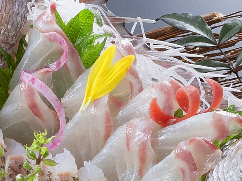 旬を迎える「桜鯛」を様々なお料理でご堪能下さい♪<br>※画像はイメージ※