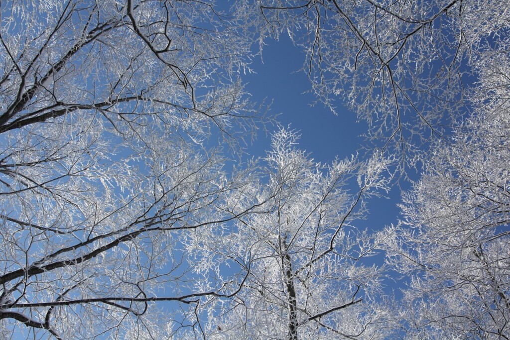 �~�i�F
