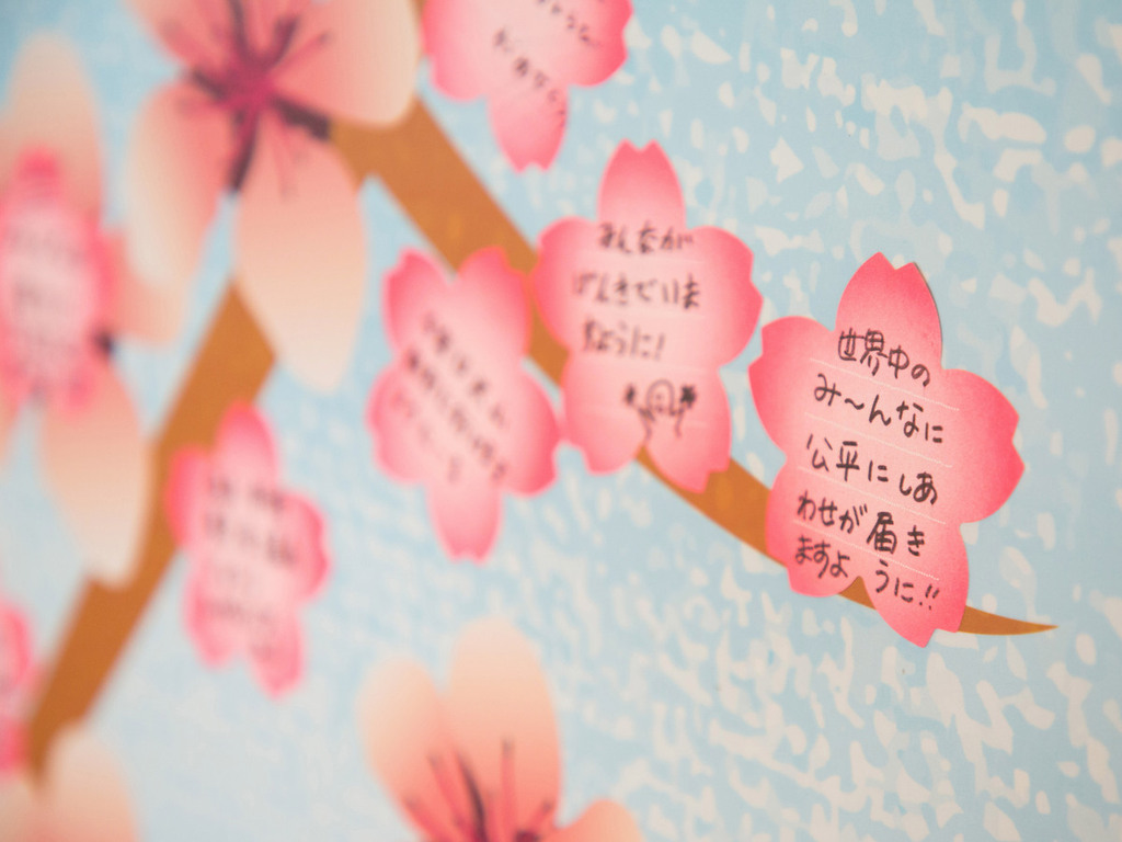 みんなのメッセージで満開の桜を咲かせよう