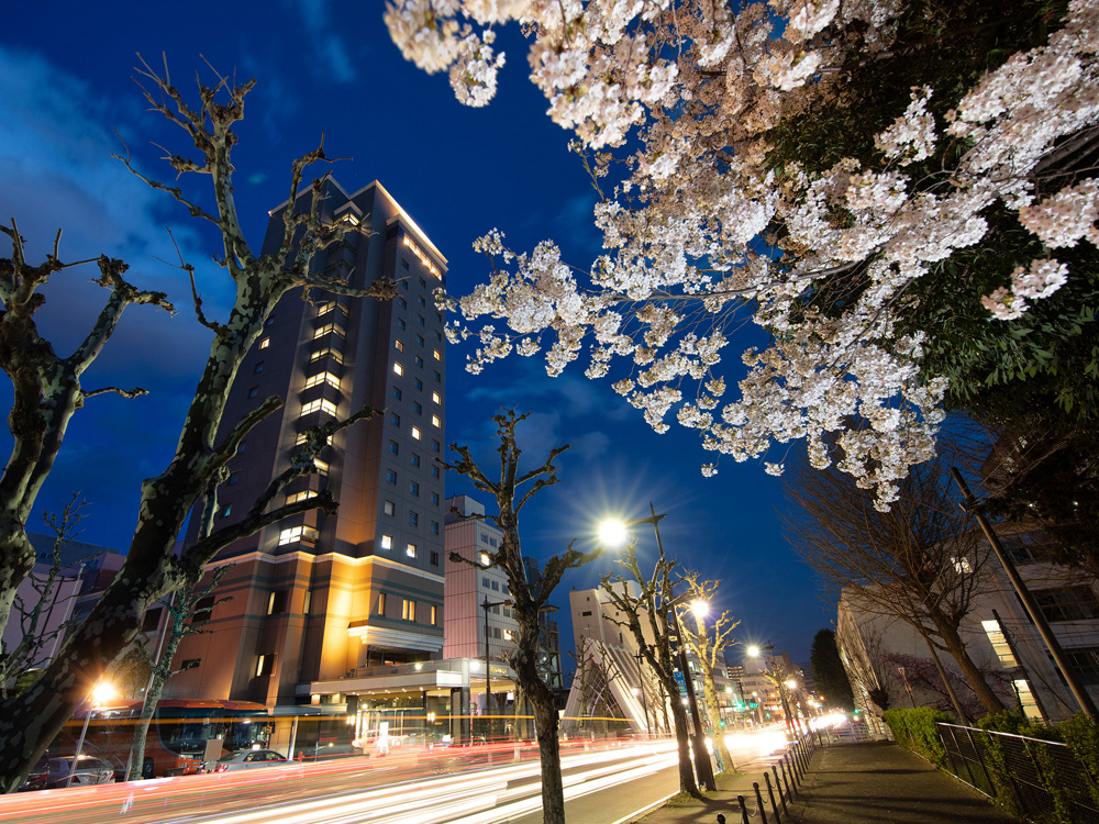 長野市中心部に位置する観光拠点。数あるホテルの中で善光寺へのアクセスは１、２の好立地！