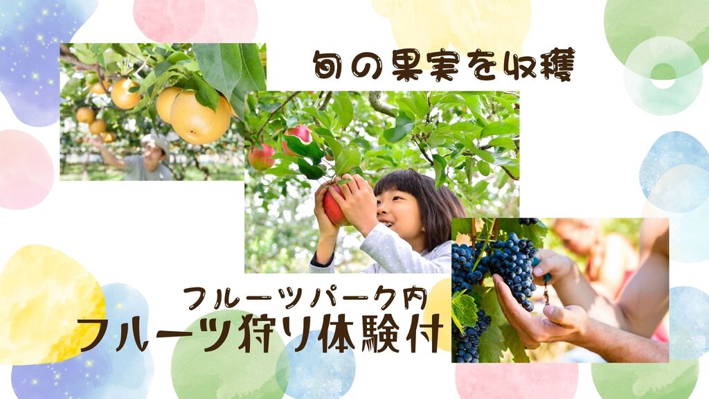 �t���[�c���̌��t�@�h���v����