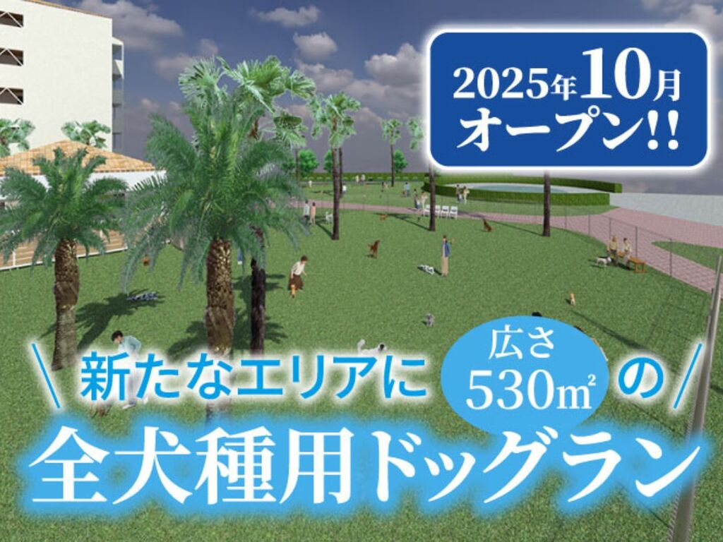 2025�N�I�[�v���b�S����p�h�b�O����