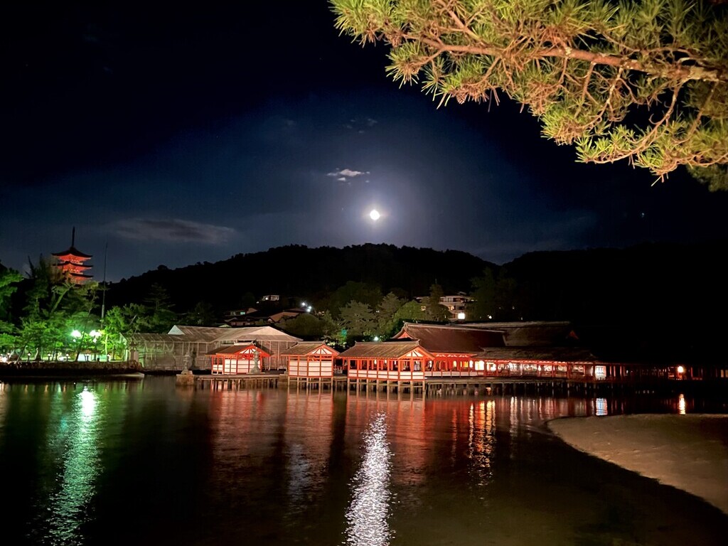 《ライトアップ》 幻想的な夜の嚴島神社