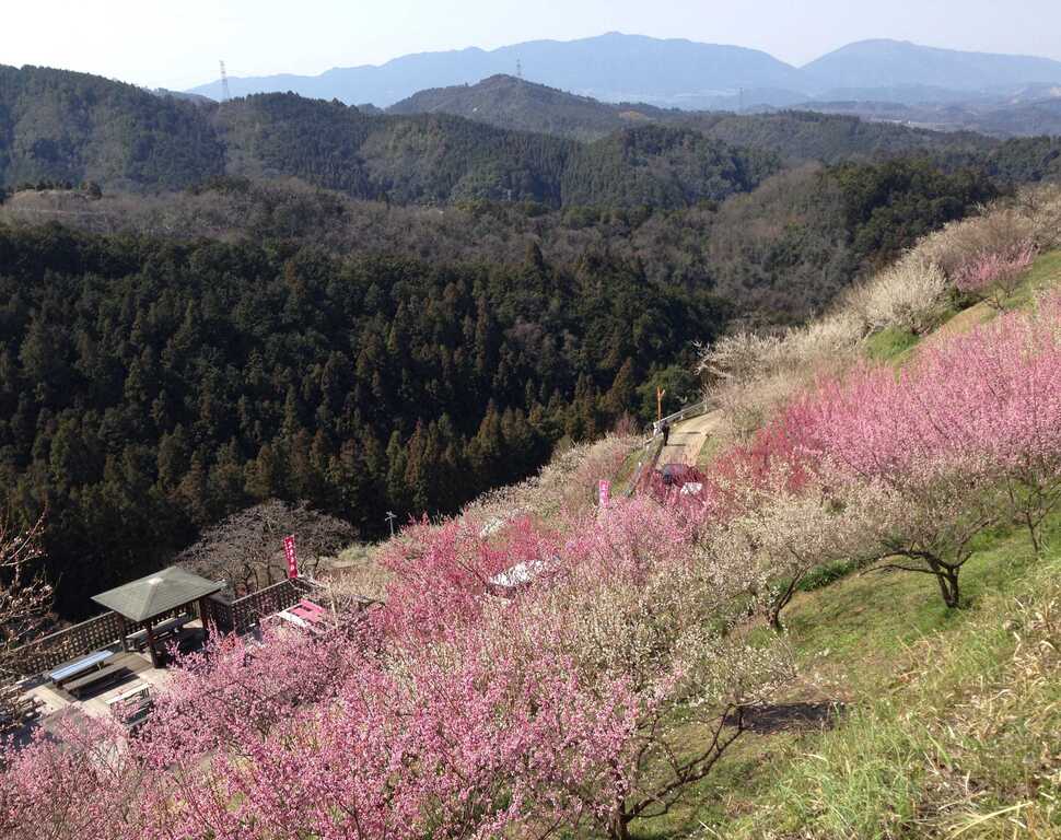 �L���~��