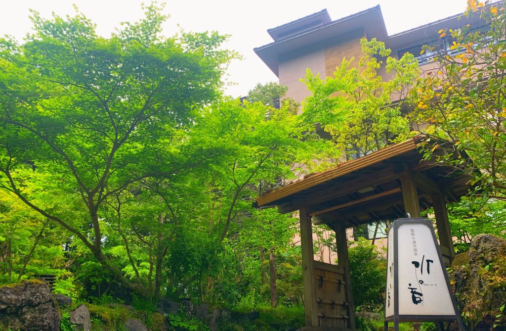 https://asp.hotel-story.ne.jp/media/MR05000100092.jpg?_ga=2.37468320.1693968803.1569041857-1481032803.1567349161