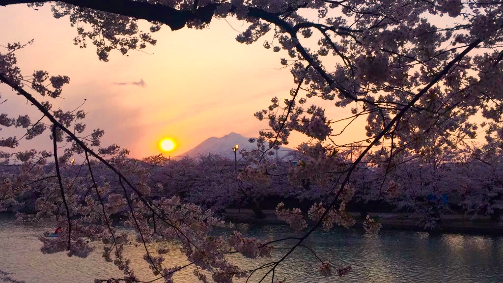 �O�O�������x