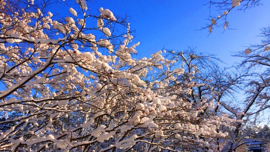 �O�O�����i�~�j