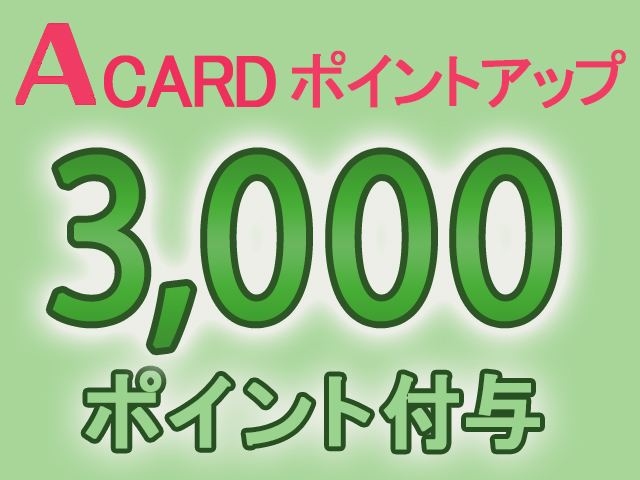 A�J�[�h�|�C���g3000P�t�^