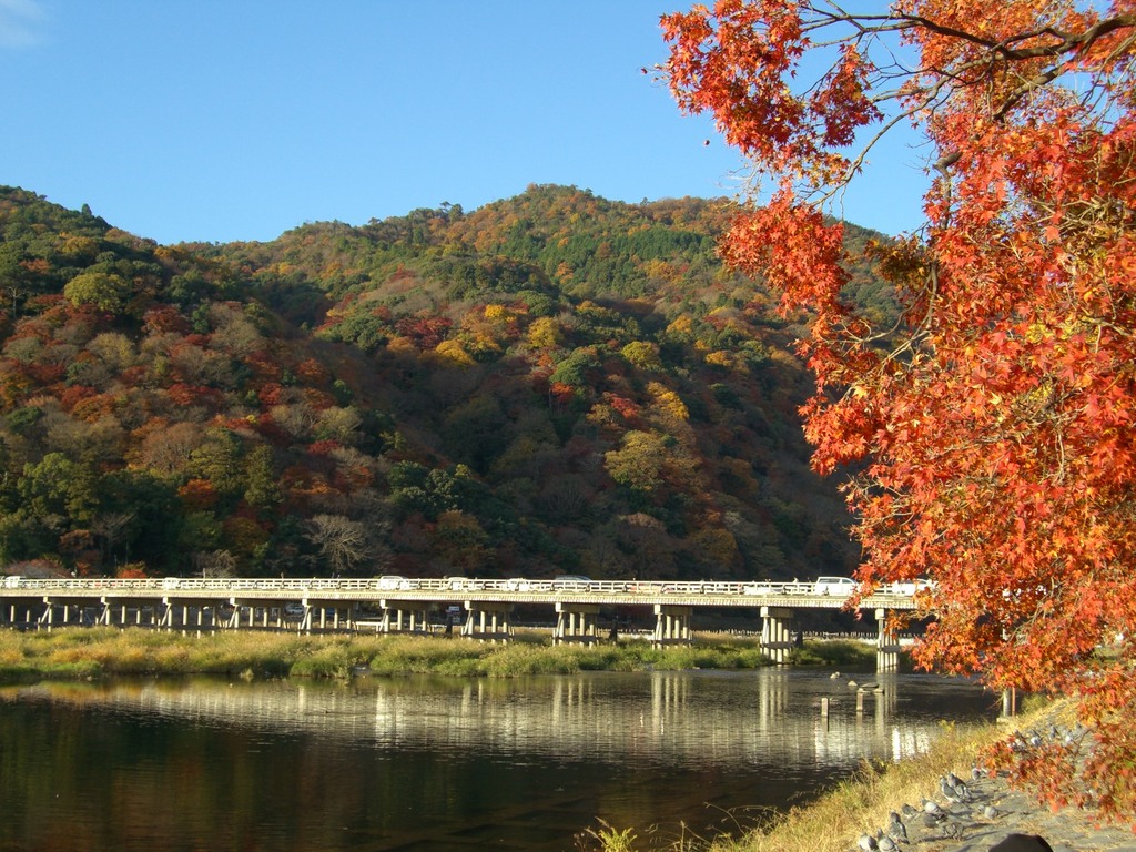 秋の渡月橋