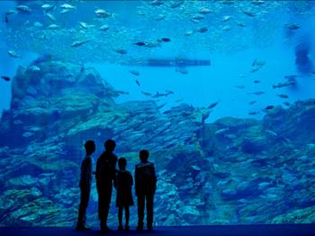 【仙台うみの杜水族館入場引換券付】海と山の自然を一度に楽しむ思い出作り応援プラン（網焼き料理）