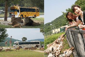 姫路セントラルパーク入場券付プラン 〈当館より車で約30分〉