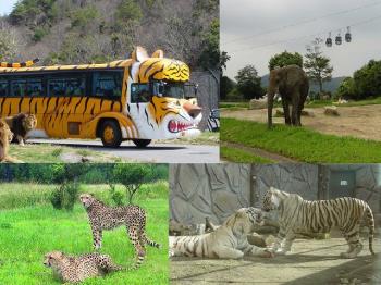 姫路セントラルパーク入場券＋乗り物フリーパス券付プラン