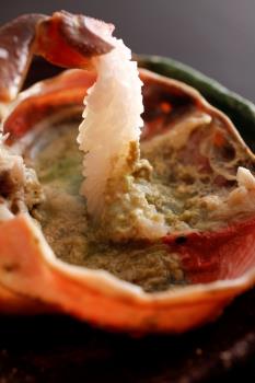 〈タグ付き松葉蟹お一人様1.5杯使用〉冬の味覚を満喫　プレミアム蟹会席