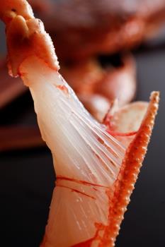 〈お一人様0.5杯使用〉冬の味覚の王様を食す　タグ付き蟹会席