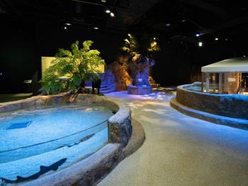 【DMMかりゆし水族館チケット付】ホテルから車で10分！新しいカタチのエンタテイメント水族館／朝食付