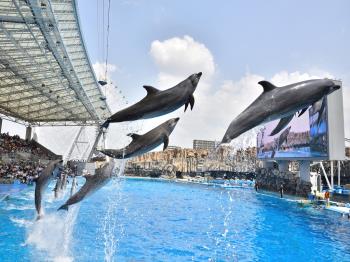 ★室数限定・早いもの勝ち！★名古屋港水族館お子様チケット最大3名様分プレゼント付き宿泊プラン