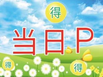 彦根 宿泊プラン
