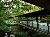 【日本庭園】松泉湖に架けられたエントランスへと続く回廊 