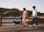 滞在イメージ：浜名湖を愛犬とお散歩